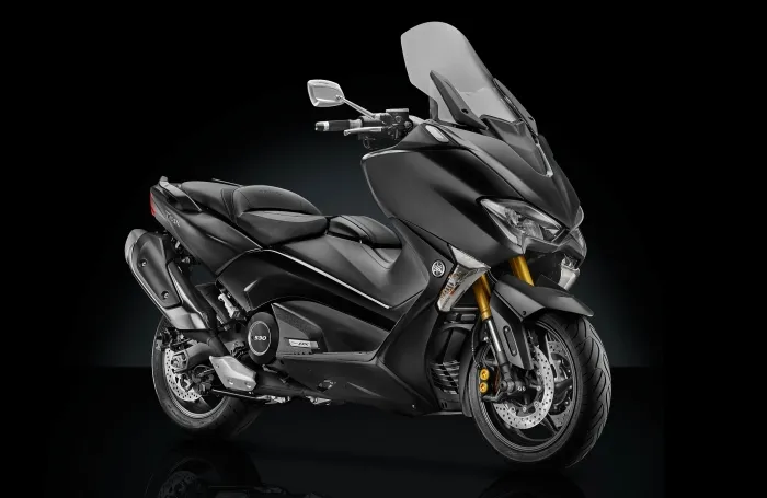 T Max Rizoma 2017
